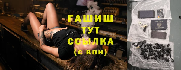сатива Верея