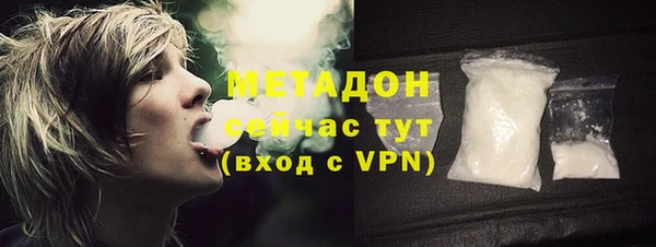 сатива Верея