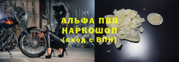 сатива Верея