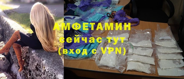 сатива Верея