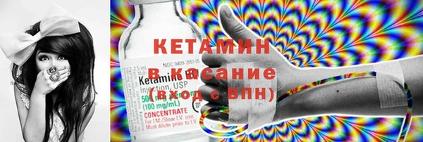 сатива Верея