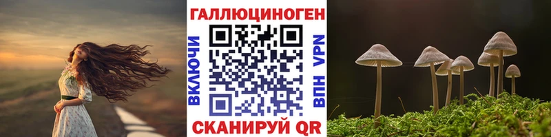 купить закладку  Дюртюли  Галлюциногенные грибы MAGIC MUSHROOMS 